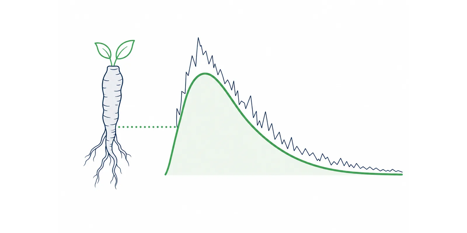 Ashwagandha: para que serve e o que diz a ciência